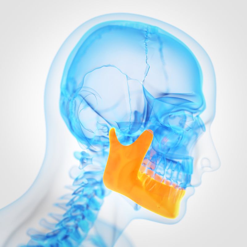 3D X-ray graphic highlighting the mandible for general dentistry procedure